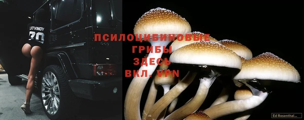 a pvp Алзамай